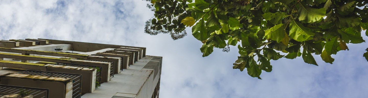 Vista desde abajo de un edificio con detalles en concreto y barandales metálicos, acompañado de un árbol frondoso, ilustrando el equilibrio entre construcción sostenible y entorno natural.